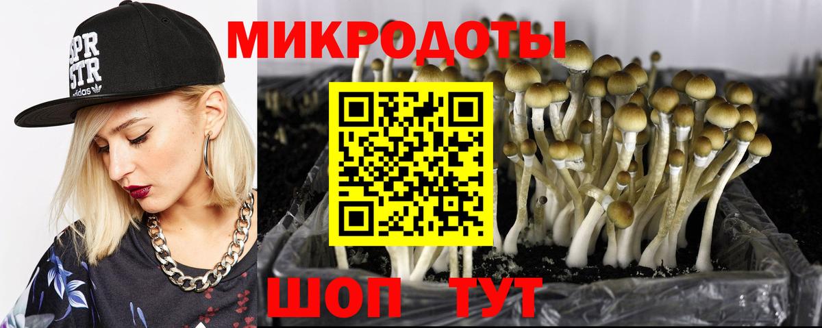 Коммунар  Псилоцибиновые грибы мицелий  Псилоцибиновые грибы ЛСД  Вход с VPN 