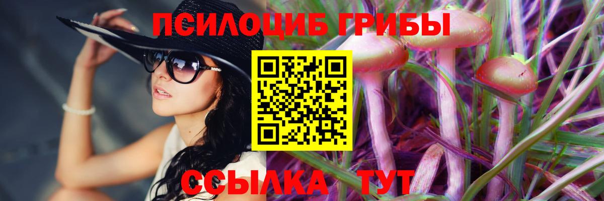 Галлюциногенные грибы Psilocybe Коммунар